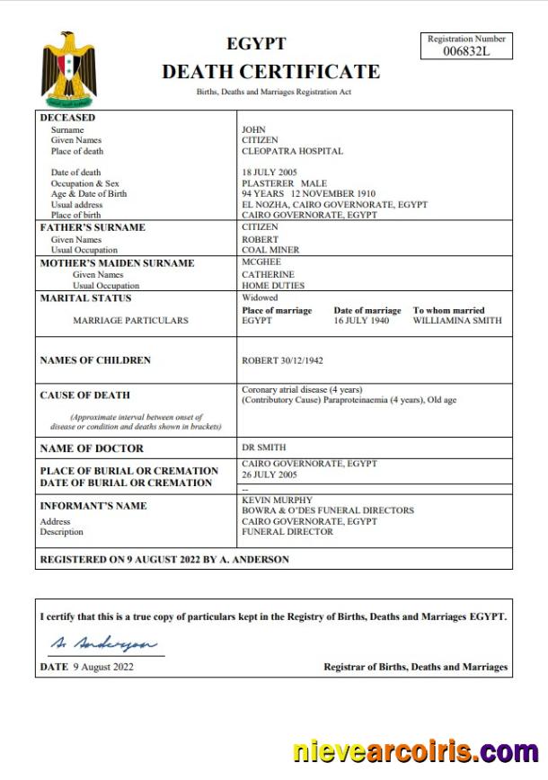Egypt vital record death certificate
